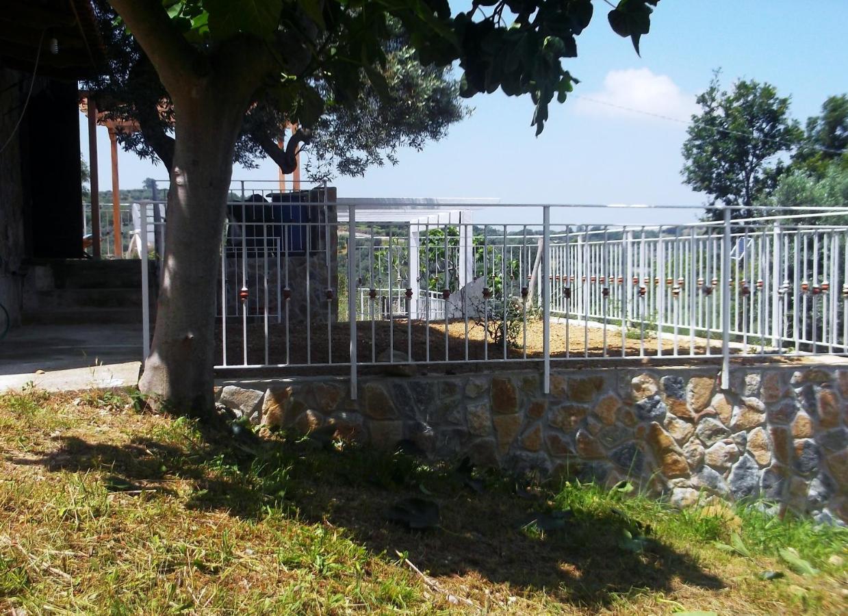 Villa De Felice Albanella Eksteriør billede
