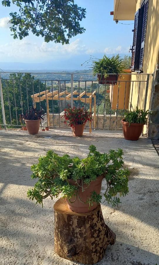 Villa De Felice Albanella Eksteriør billede