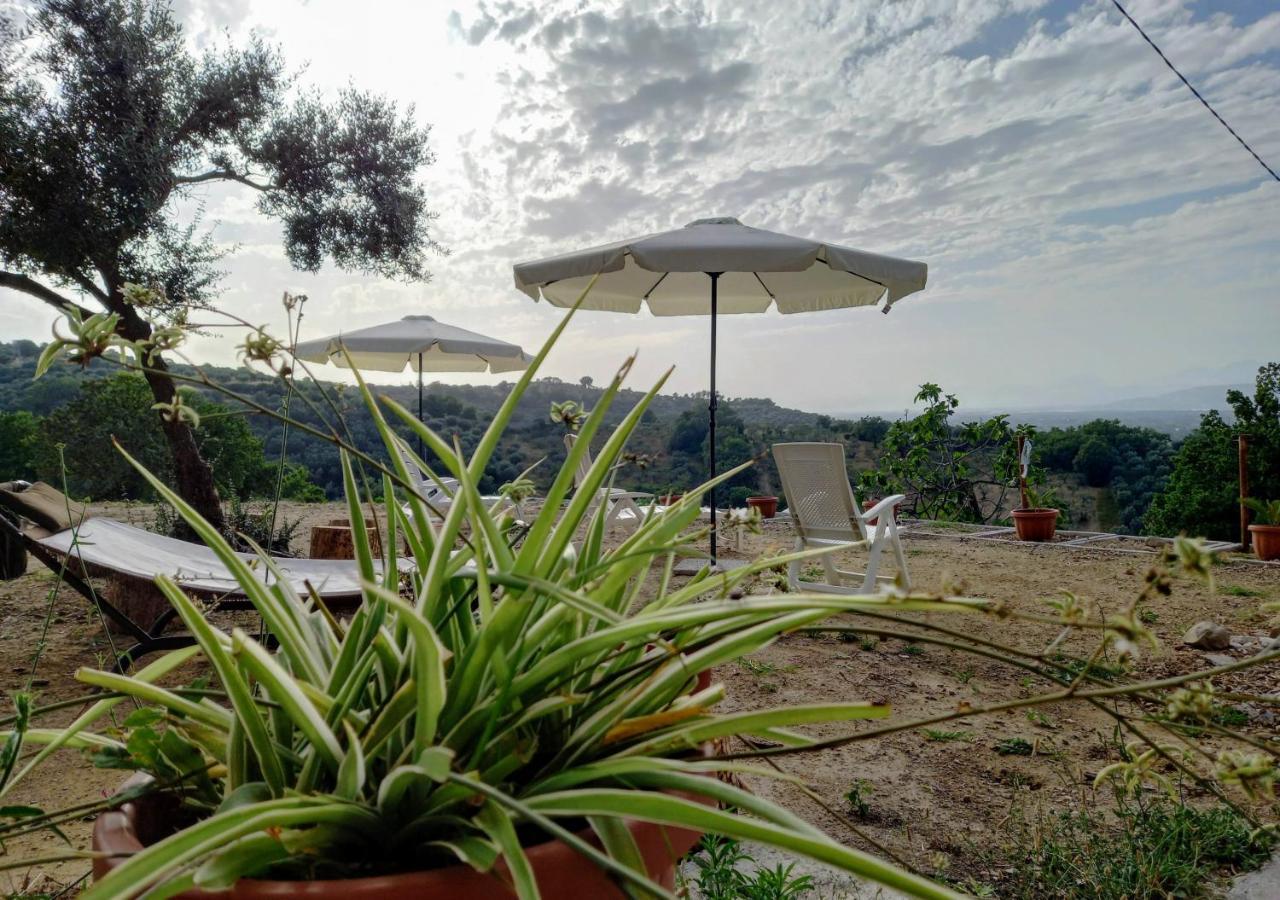 Villa De Felice Albanella Eksteriør billede